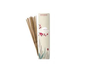 C000040406_esteban Encens bâtons naturels - Lot de 20