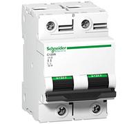Schneider Electric Disjoncteur de protection de circuit C120N, 2P, 80A, caractéristique C, 10kA A9N18361