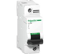 C120N-C125-1 Disjoncteur 125A 1P C A9N18359