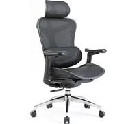 Chaise de bureau ergonomique SIHOO Doro C300 avec accoudoirs 3D, soutien lombaire auto-ajustable et dossier en maille respirante