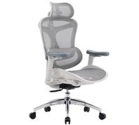 Chaise de bureau ergonomique SIHOO Doro C300 avec accoudoirs 3D, soutien lombaire auto-ajustable et dossier en maille respirante