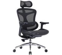 C300 Fauteuil de Bureau Ergonomique, Accoudoirs 3D ultra-doux, Soutien Lombaire Dynamique, Dossier Réglable, Noir