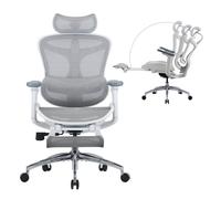 Fauteuil de Bureau Ergonomique SIHOO Doro C300 Blanc - Accoudoirs 3D, Soutien Lombaire Auto-ajustable, Dossier Maille, Inclinaison 3 Positions