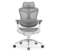 Chaise de bureau ergonomique SIHOO Doro C300 Pro - Support lombaire auto-ajustable, Accoudoirs 5D, Dossier en Maille - Blanc