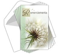 C5202 Remerciements Condoléances Lot 5 Cartes identiques + 5 Enveloppes Blanches Format 9x14cm Décès Obsèques Funérailles Deuil Fleur séchée Pissenlit Graines Semer Pochette Fabriqué en France