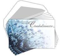 C5257X4 LOT 20 Cartes Remerciements Condoléances identiques + 20 Enveloppes Blanches Format 9x14cm - Deuil Décès Obsèques Enterrement Funérailles - Papier Mat de Qualité - Fabriquées en France