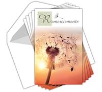 C5269 Remerciements Condoléances - Lot de 5 Cartes Identiques et Enveloppes Blanches - Format 9x14 cm - Décès Obsèques Deuil Fleur et Coucher de Soleil - Fabriquées en France