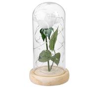 Cabilock Rose Éternelle et Base en Bois Lumière LED Blanche sous Cloche en Verre Décoration Élégante Alimentée par 3 Piles AAA pour Mariage ou Fête