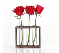 Cabilock Vase Hydroponique Tube À Essai en Verre Transparent 5.91X1.57X7.09 Pouces Décor Intérieur Simple pour Fleurs Soliflore Jardinage Conteneur 3 Trous