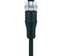 Câble blindé M12 pour capteurs/actionneurs \ Automation Line\ Escha AL-WAKS8-2/S370 8046990 Pôle: 8 Contenu: 1 pc(s)