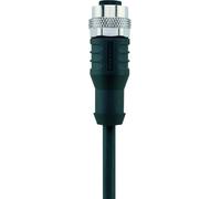 Câble M12 pour capteurs/actionneurs \ Automation Line\ Escha AL-WAK4-2/S370 8043811 Pôle: 4 Contenu: 1 pc(s)