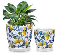 Cache-pot céramique - Pot de fleurs avec soucoupe - Motif citron - 13,5 cm et 11 cm - Lot de 2
