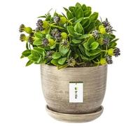 Cache-Pot En Céramique - Botle - D 130 Mm - Marron Foncé - Peint À La Main - Avec Trou De Drainage Multicolore