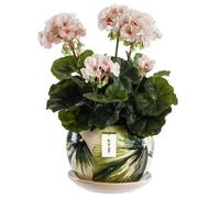 Cache-Pot En Céramique - Botle - Sphère Ronde Ø16.5 Cm - Crème Et Vert - Motif Feuilles - Durable Multicolore