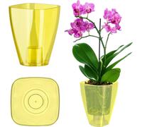 Cache-pot pour orchidée - Pot pour orchidée - Plastique - Petit - Jaune