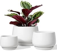 Cache-pots en céramique pour plantes - Intérieur - Set de 3 - Blanc - 10, 13 et 16 cm