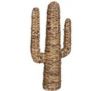 Cactus en jacinthe tressée - Haci - L 38,5 x P 16,5 x H 75 cm - Beige Naturel G