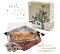 Cactus Starter Kit Growing Set - Set de plantation de mini-serre, graines de cactus & terreau - idée de cadeau durable pour les amoureux des plantes (Semences: Pachypodium Lamerica + Faucaria Tigrina)