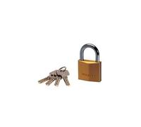 Cadenas en laiton massif 50 mm - MASTER LOCK - 2950EURD - Anse acier 30 mm - Haute sécurité