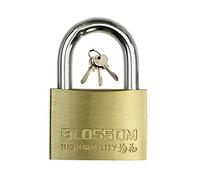cadenas, Cadenas n laiton avec 3 clés, serrure antivol de sécurité étanche et antirouille, poutre courte longue option(Style1,55mm)