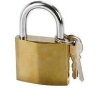COGEX - 80027 - Cadenas Acier 40 mm avec 2 Clés - Antirouille et Résistant - Sécurité Renforcée pour Portail, Casier, Garage, Coffret et Valise