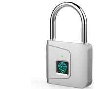 Cadenas intelligent à empreintes digitales, mini cadenas intelligent sans hargement USB, identification en un clic pour bureau, serrure de casier, école, casier de gym