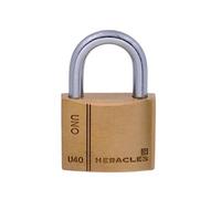 Cadenas laiton UNO 40mm sous blister - - I-CAD40-BS