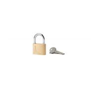 Cadenas THIRARD - Type 1, 40mm - Anse acier - Double ancrage - 2 clés
