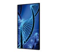 Cadre LUMINEUX ADN GL3488 PINTDECOR