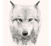Cadre WHITE WOLF G3322 PINTDECOR