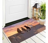 CAEITLRSO Paillasson Animaux Guérison, Tapis de Coucher De Soleil Chats, 45x75cm, résistant aux intempéries, antidérapant, pour Porte d'entrée, Couloir, entrée, Lavable, Couleur Orange