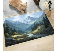 CAEITLRSO Paillasson Paysage Naturel Réaliste 50x80cm, Antidérapant Tapis Interieur Entrée, Absorbant Lavable, Fin Tapis de Sol pour Couloir, Cuisine, Chien, Retro Canyon Stream, Gris Vert