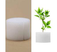 Cafopgrill Plantation hydroponique, Lot de 100 éponges hydroponiques pour Plantation - Outils de Jardinage - Système de Construction de légumes - Éponges de Serre