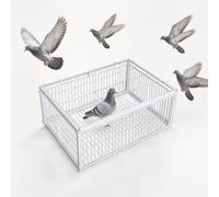 Cage de piège à pigeons portable, cage de piège à poulets et oiseaux, design anti-fuite, portable et facile à assembler, cage à volaille en fer résistant à la rouille pour pigeons et oiseaux, porte