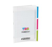 Cahier - CONQUERANT - 24x32cm - 90g - 96 pages - Grands carreaux incolore