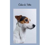 Cahier de Notes: Jack Russell Terrier. Carnet de notes Chien Jack Russell Terrier. Joli cahier de 100 pages lignées numérotées avec sommaire format ... A5, carnet d’écriture, de mots de passe...