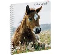 Cahier de textes - Spirale - 17x22cm - Cheval - Scolaire - Pratique - Exacompta