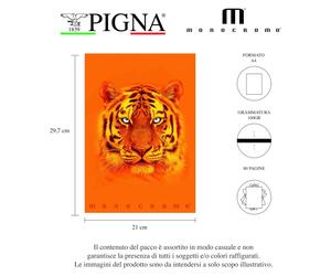 Cahier Pigna Maxi monochrome orange, format A4, 72 pages quadrillées, lot de 10