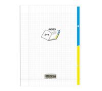 Cahier piqué 2 index 8000 POLYPRO 24x32cm 96 pages grands carreaux Incolore - Incolore
