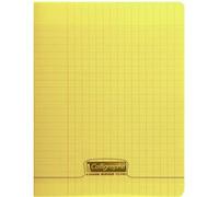 Cahier piqué 8000 POLYPRO 24x32 cm 96 pages grands carreaux 90 g - Vert