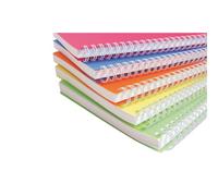 Clairefontaine 328116C Collection Linicolor Fresh Lot de 5 Cahiers à Spirale - A4 21x29,7 cm - 180 Pages Grands Carreaux - Papier Blanc 90 g - Couverture Polypro Transparent - Couleurs Aléatoires