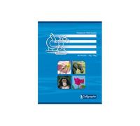 Cahier travaux pratiques piqures Clairefontaine 17x22 ( grand carreaux 70g + dessin) 48p