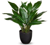 Calathea artificielle en pot en plastique, 43 cm, verte