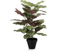 Calathea - Plante artificielle - 65cm de haut - Ø17cm - Feuilles naturelles
