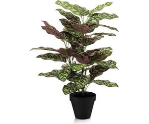 Calathea - Plante artificielle - 65cm de haut - Ø17cm - Feuilles naturelles