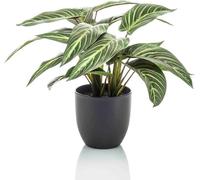 Calathea Zebrina - Maranta zébrée - Plante artificielle - 42cm de haut - Pot