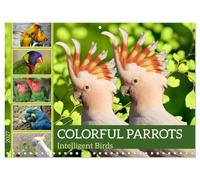 Calendar 2027 · Perroquets colorés - Oiseaux intelligents | Pierres précieuses volantes du monde entier · 16.5" x 23.4" Open Size · CALVENDO Wall Calendar