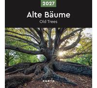 Calendario da muro 30x30 cm old trees 2027