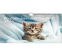 Calendrier 2023 Magie des enfants et chats - Format A4