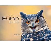Calendrier 2025 hiboux : le calendrier animal avec les noms charmants. calendrier mural calendrier oiseau